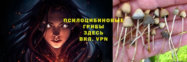 таблы Аркадак